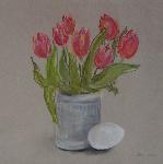 DSC01301-cropped.jpg, Auflösung: 149x150, Beschreibung: 