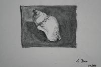 IMG_1195.JPG, Auflösung: 200x133, Beschreibung: keine