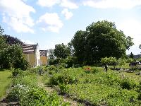 DSC03661.JPG, Auflösung: 200x150, Beschreibung: 
