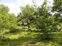 DSC03663.JPG, Auflösung: 200x150, Beschreibung: 