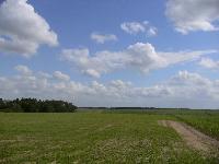DSC03673.JPG, Auflösung: 200x150, Beschreibung: 