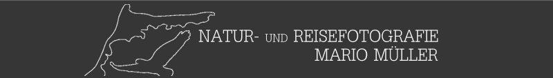 NATUR- und REISEFOTOGRAFIE MARIO MLLER